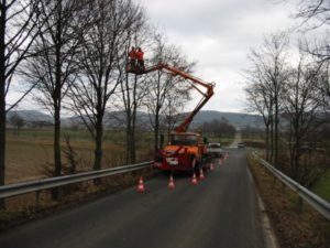Baumfällung mit Ampelanlage zur Verkehrssicherung